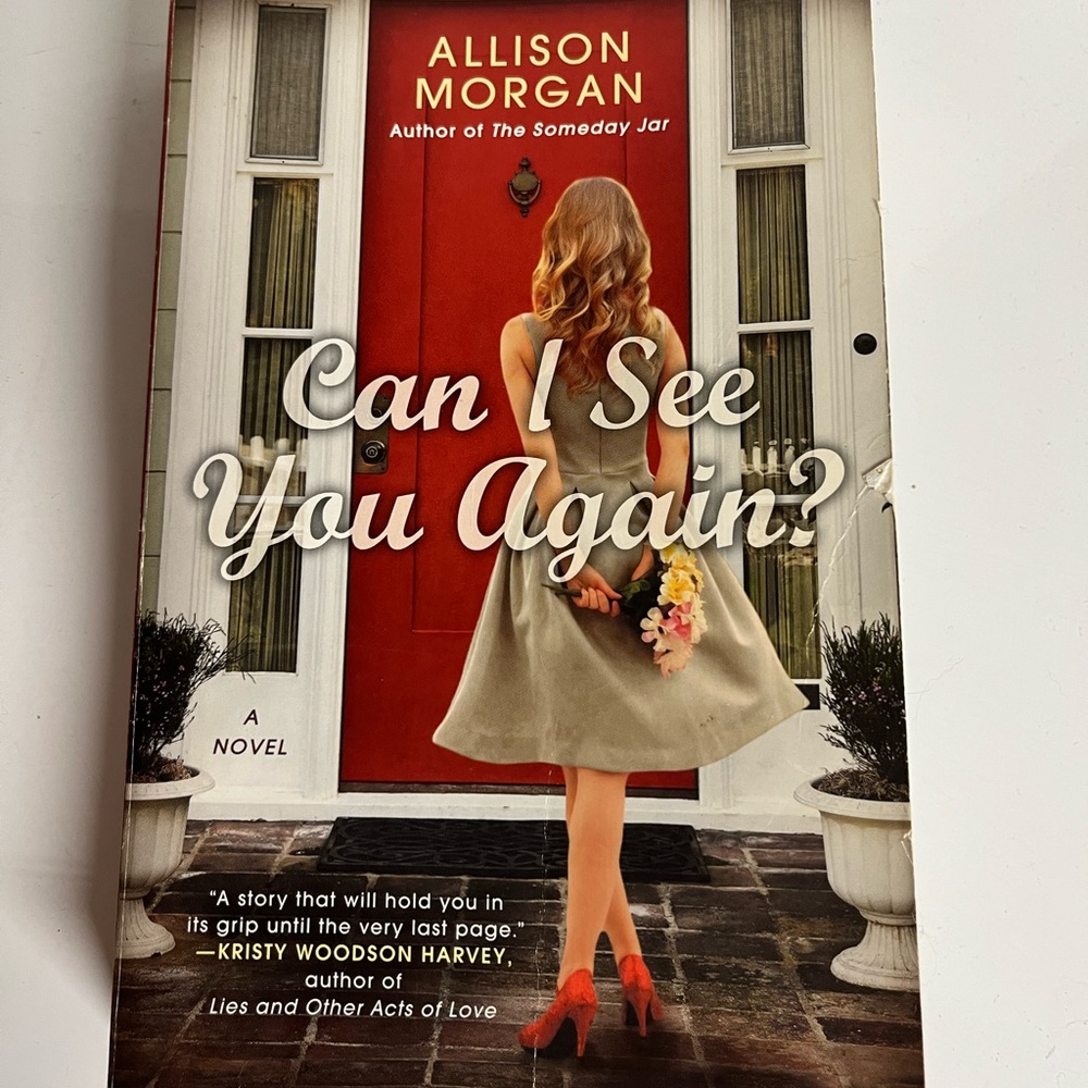 Can I See You Again, by Alison Morgan